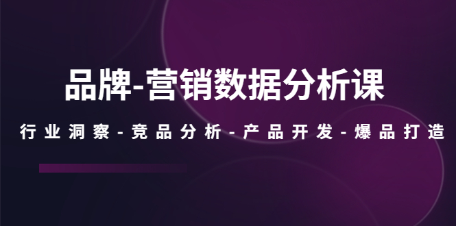 【副业项目5644期】品牌-营销数据分析课，行业洞察-竞品分析-产品开发-爆品打造缩略图