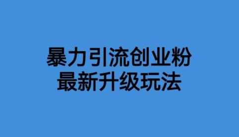 【副业项目6372期】价值1980一千个野路子暴力引流最新升级玩法【揭秘】缩略图