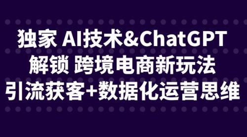 【副业项目6780期】独家 AI技术&ChatGPT解锁 跨境电商新玩法，引流获客+数据化运营思维缩略图