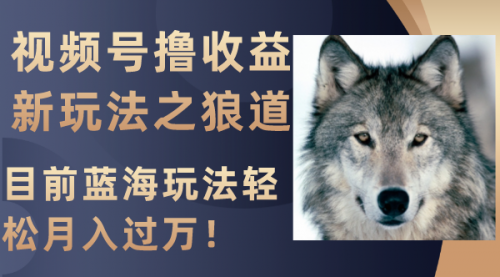 【副业项目8271期】视频号撸收益新玩法之狼道，目前蓝海玩法轻松月入过万！缩略图