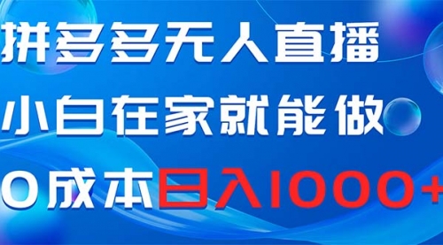 【副业项目8603期】拼多多无人直播，小白在家就能做，0成本日入1000+缩略图