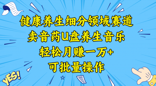 【副业项目8638期】健康养生细分领域赛道，卖音药U盘养生音乐，轻松月赚一万+，可批量操作缩略图